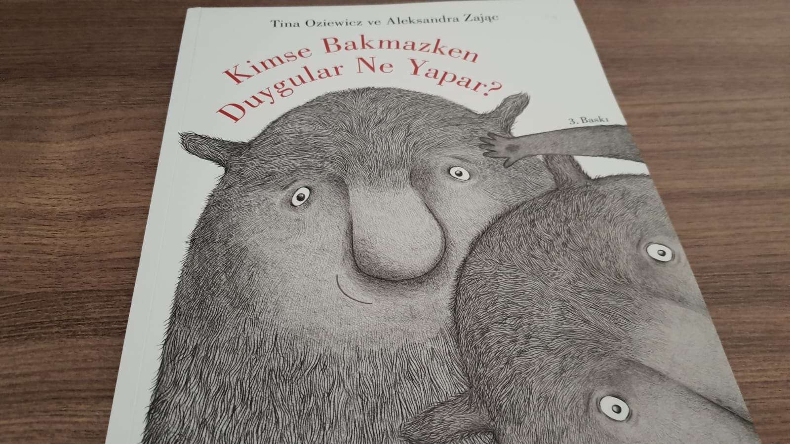 Kitap İnceleme: Kimse Bakmazken Duygular Ne Yapar? kapak fotoğrafı